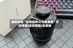 辅助神器“迅奇麻将斗牛挂免费”开挂神器{透视辅助}全揭秘