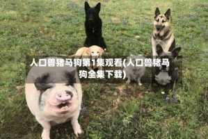 人口兽猪马狗第1集观看(人口兽猪马狗全集下载)