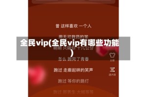 全民vip(全民vip有哪些功能)