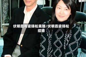 伏明霞与梁锦松离婚/伏明霞梁锦松结婚
