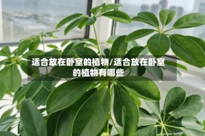 适合放在卧室的植物/适合放在卧室的植物有哪些