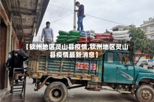 【钦州地区灵山县疫情,钦州地区灵山县疫情最新消息】