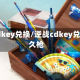 逆战cdkey兑换/逆战cdkey兑换永久枪