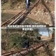 周边地区如何应对疫情(如何应对周边安全环境)