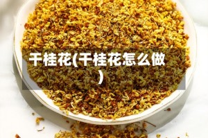 干桂花(干桂花怎么做)