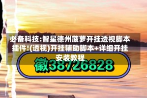 必备科技:智星德州菠萝开挂透视脚本插件!(透视)开挂辅助脚本+详细开挂安装教程