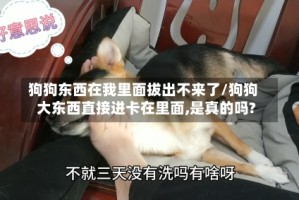 狗狗东西在我里面拔出不来了/狗狗大东西直接进卡在里面,是真的吗?