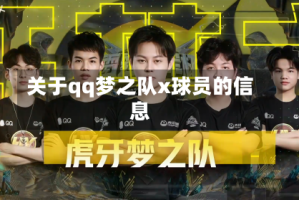 关于qq梦之队x球员的信息