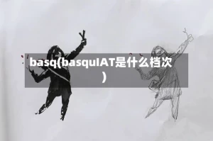 basq(basquIAT是什么档次)