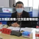 江汉地区疫情/江汉区疫情防控