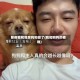 那夜我和我家狗狗做了(我和狗狗的夜晚)
