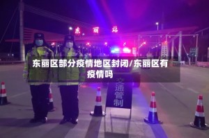 东丽区部分疫情地区封闭/东丽区有疫情吗