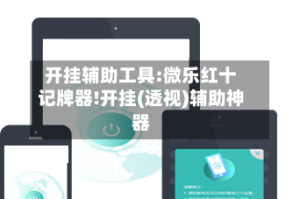 开挂辅助工具:微乐红十记牌器!开挂(透视)辅助神器