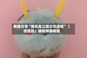 教程分享“博乐龙江填大坑透视”（透视挂）辅助神器教程