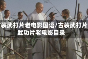 古装武打片老电影国语/古装武打片武功片老电影目录