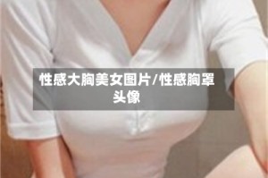 性感大胸美女图片/性感胸罩头像