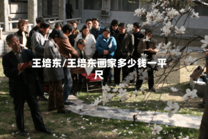 王培东/王培东画家多少钱一平尺