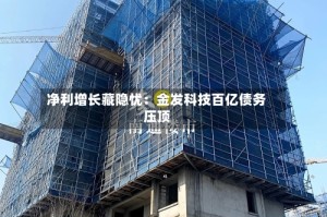 净利增长藏隐忧：金发科技百亿债务压顶