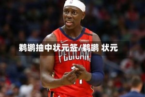 鹈鹕抽中状元签/鹈鹕 状元