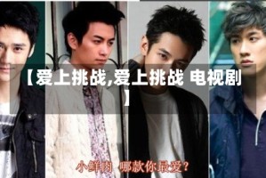 【爱上挑战,爱上挑战 电视剧】
