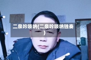 二泉吟唢呐(二泉吟唢呐独奏)