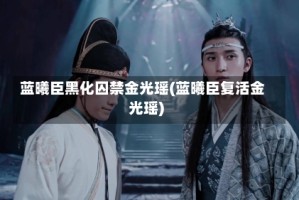 蓝曦臣黑化囚禁金光瑶(蓝曦臣复活金光瑶)