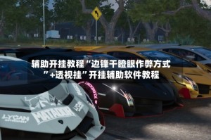 辅助开挂教程“边锋干瞪眼作弊方式”+透视挂”开挂辅助软件教程