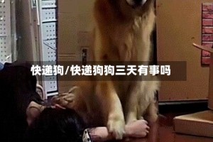 快递狗/快递狗狗三天有事吗