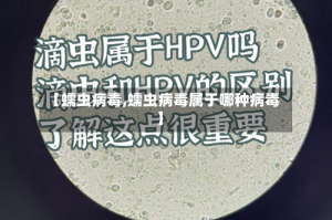 【蠕虫病毒,蠕虫病毒属于哪种病毒】