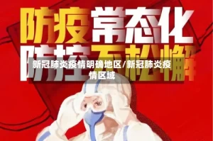 新冠肺炎疫情明确地区/新冠肺炎疫情区域