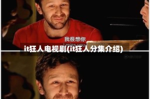 it狂人电视剧(it狂人分集介绍)
