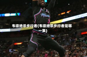 韦德绝杀步行者(韦德绝杀步行者是哪一集)