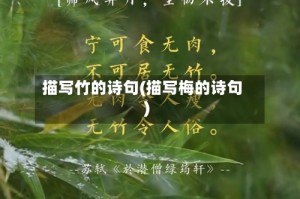 描写竹的诗句(描写梅的诗句)