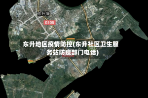 东升地区疫情防控(东升社区卫生服务站防疫部门电话)