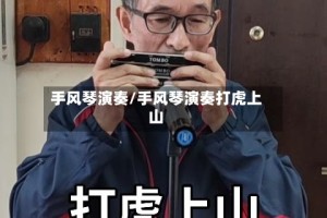 手风琴演奏/手风琴演奏打虎上山
