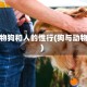 动物狗和人的性行(狗与动物)
