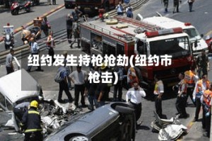 纽约发生持枪抢劫(纽约市枪击)