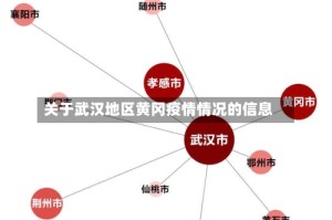 关于武汉地区黄冈疫情情况的信息