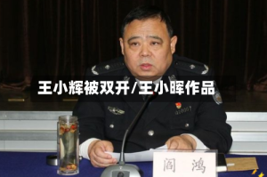 王小辉被双开/王小晖作品