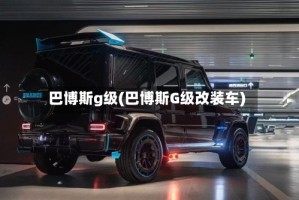巴博斯g级(巴博斯G级改装车)