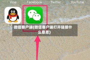 微信客户端(微信客户端打开链接什么意思)