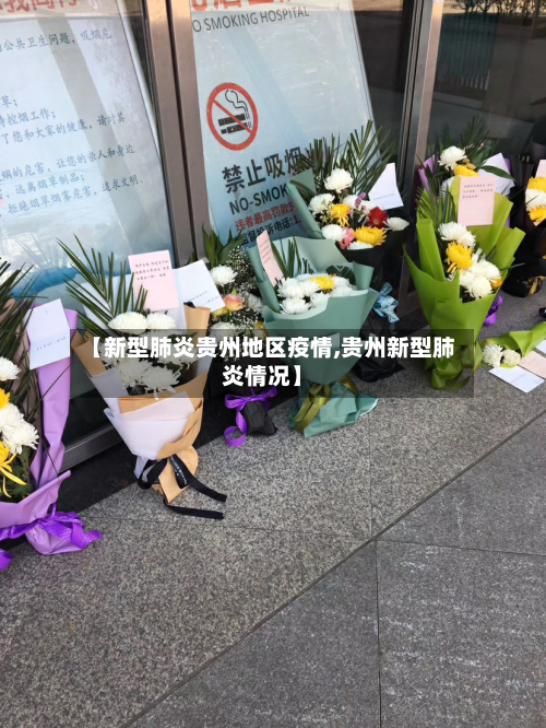 【新型肺炎贵州地区疫情,贵州新型肺炎情况】-第1张图片