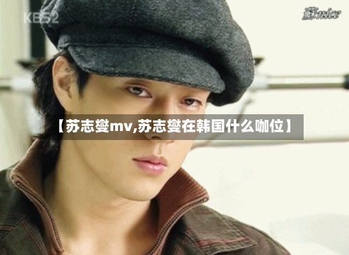 【苏志燮mv,苏志燮在韩国什么咖位】-第3张图片