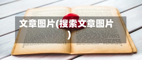 文章图片(搜索文章图片)-第1张图片