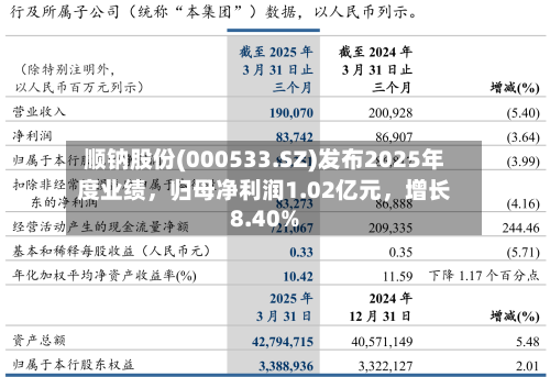 顺钠股份(000533.SZ)发布2025年度业绩，归母净利润1.02亿元	，增长8.40%-第1张图片