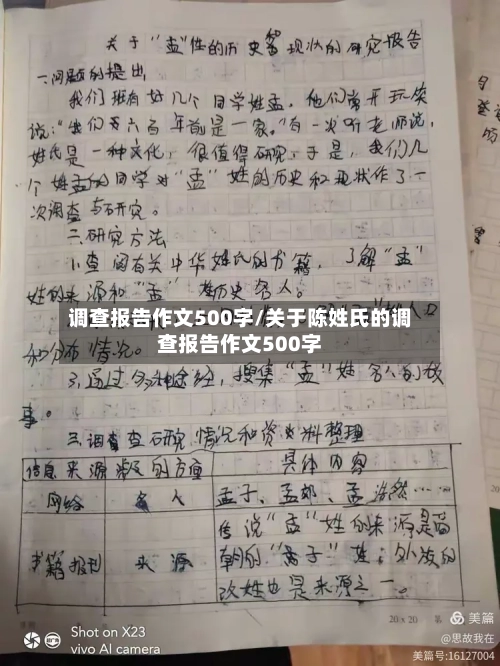 调查报告作文500字/关于陈姓氏的调查报告作文500字-第1张图片