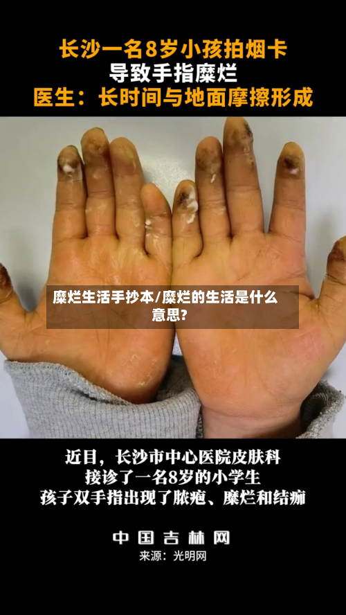 糜烂生活手抄本/糜烂的生活是什么意思?-第1张图片