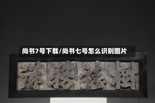 尚书7号下载/尚书七号怎么识别图片-第1张图片