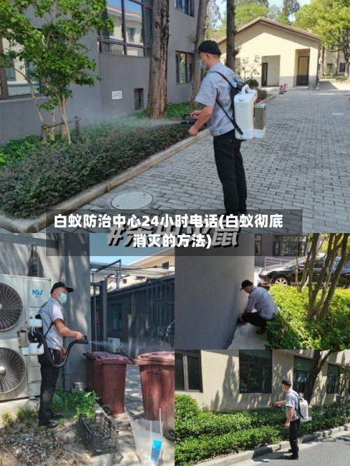 白蚁防治中心24小时电话(白蚁彻底消灭的方法)-第2张图片