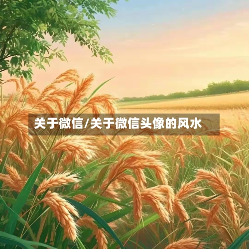 关于微信/关于微信头像的风水-第2张图片